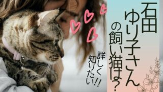 石田ゆり子さんの飼い猫は？
